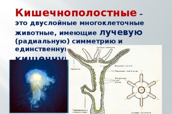 Kraken наркотики сайт