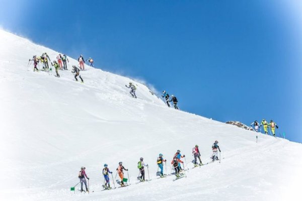 Ссылки для даркнета