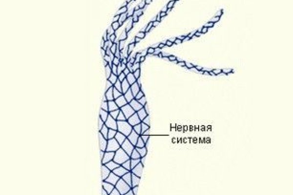 Не могу зайти на сайт кракен